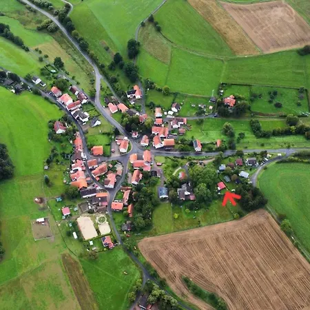 Waldgefluester Nausis