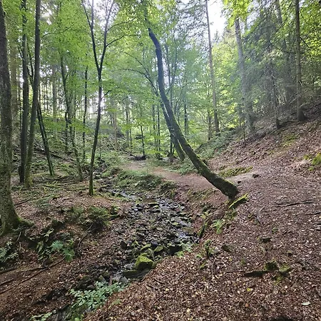 Waldgefluester Ferienhaus *