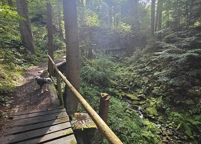 Waldgefluester Сasa de vacaciones